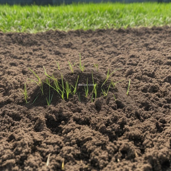 如何在春季播种炮竹草种子时选择合适的土壤类型以及添加必要的肥料？