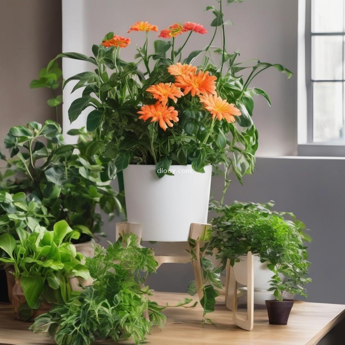 如何使用阿司吡啉在室内养护鲜花和绿植吗？