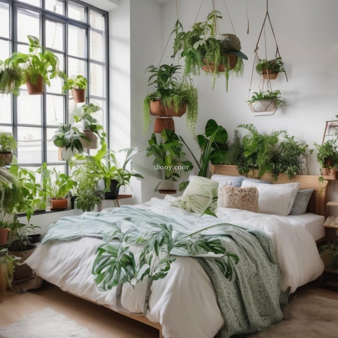 你知道哪些室内植物比较适合放在卧室里吗？