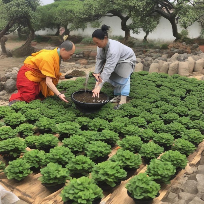 如果要种植一些花草来生产佛手茶叶，需要考虑哪些因素（如土壤、气候等）以确保成功生长并产生最佳效果？