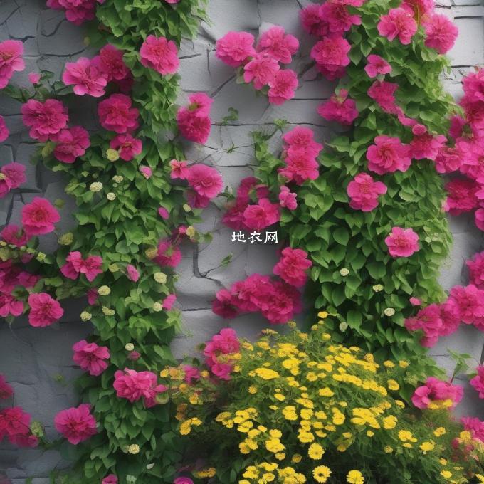 墙上种植了墙微后需要注意哪些事项才能保证其健康成长并开出美丽的花朵？
