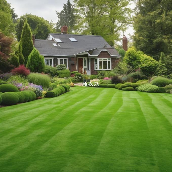 如何选择适合自己家的草坪类型？
