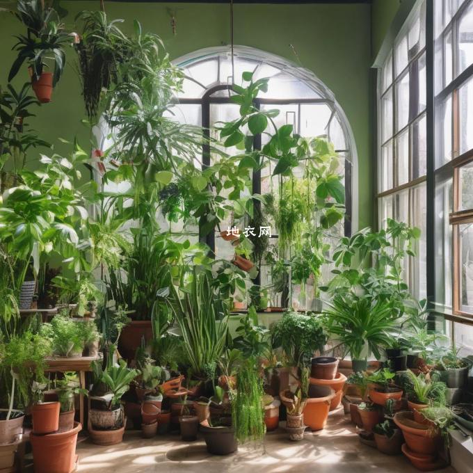 室内植物在不同季节需要采取不同的养护方法吗?